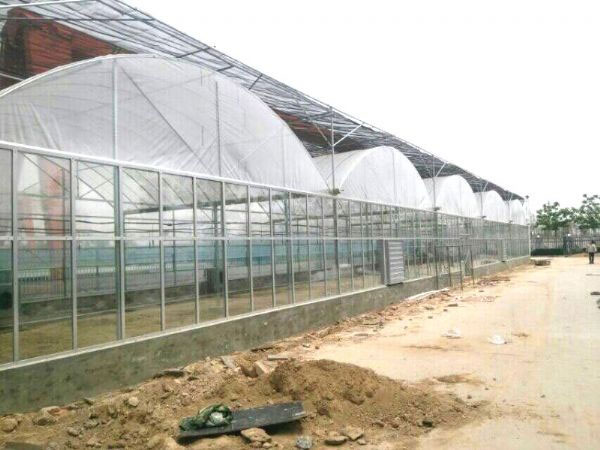 連棟薄膜溫室